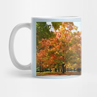 Fall colors Mug